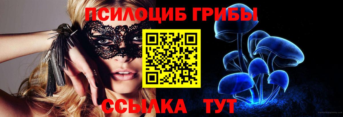 Тихвин  Галлюциногенные грибы MAGIC MUSHROOMS  Вход с VPN  Псилоцибиновые грибы Cubensis 